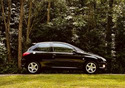 Peugeot 206 s16