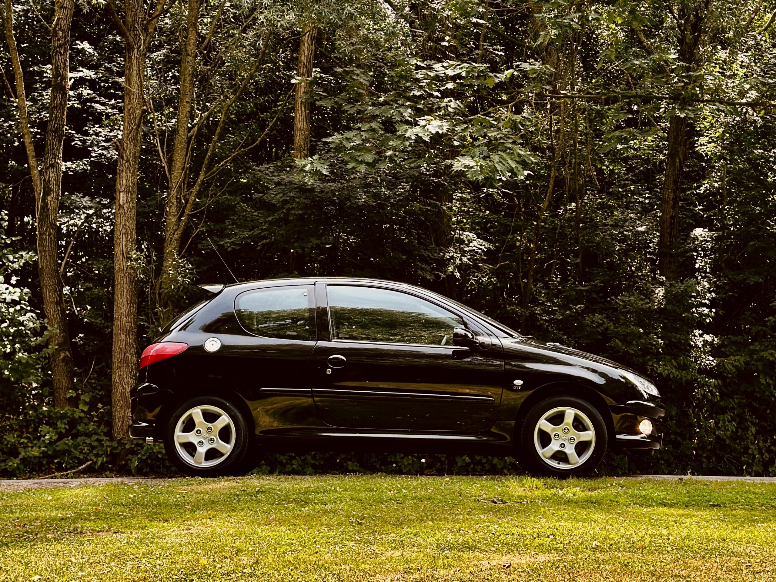 Peugeot 206 s16