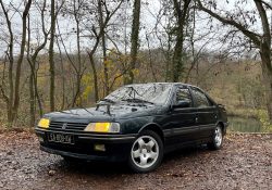 Peugeot 405 mi16