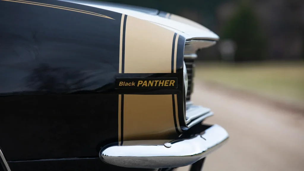 Détail de la bande dorée et du logo Black Panther sur le nez d'une Chevrolet Camaro 1967